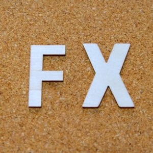 陸マイラーのためのFX入門。高額ポイント獲得に向け、FXの基礎をご説明します。